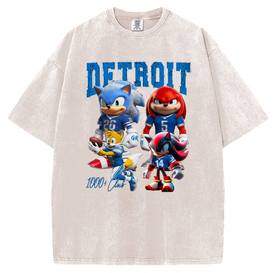 Detroit Football Fan T-Shirt/Sweatshirt