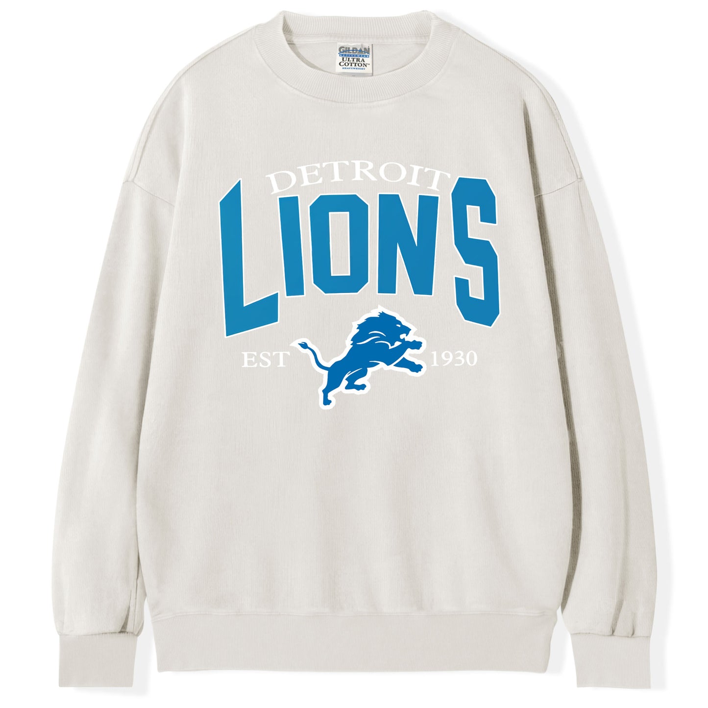 Detroit Michigan T-Shirt/Sweatshirt