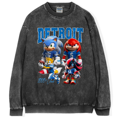 Detroit Football Fan T-Shirt/Sweatshirt