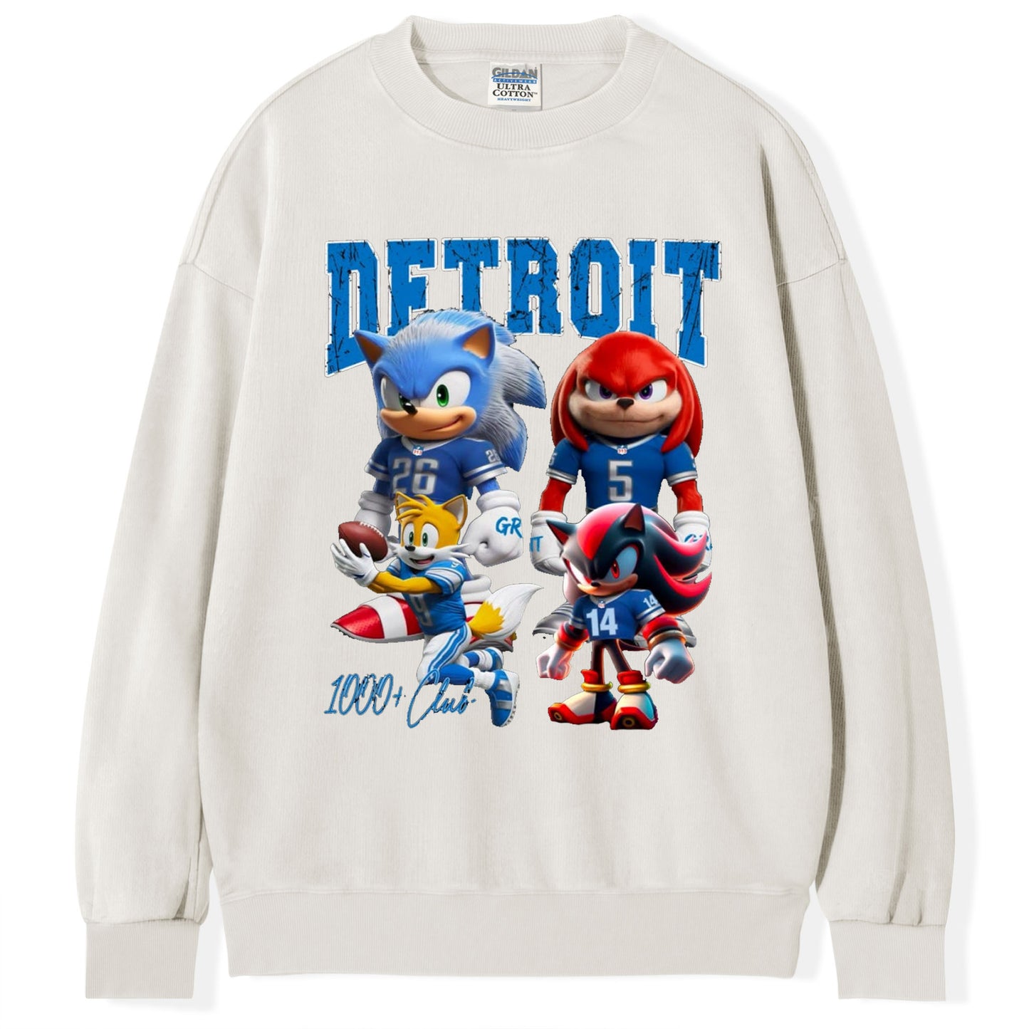 Detroit Football Fan T-Shirt/Sweatshirt