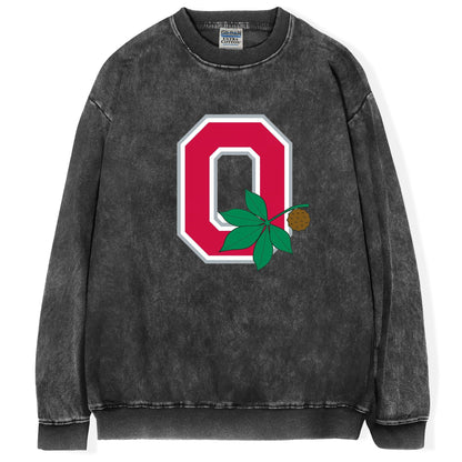 Ohio State Football T-shirt/Sweatshirt