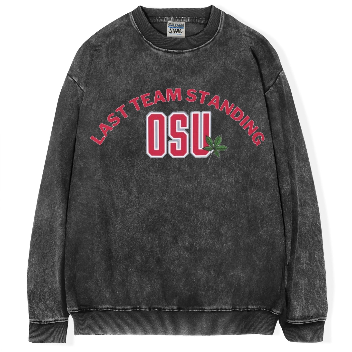 Ohio State Football Champions T-shirt/Sweatshirt