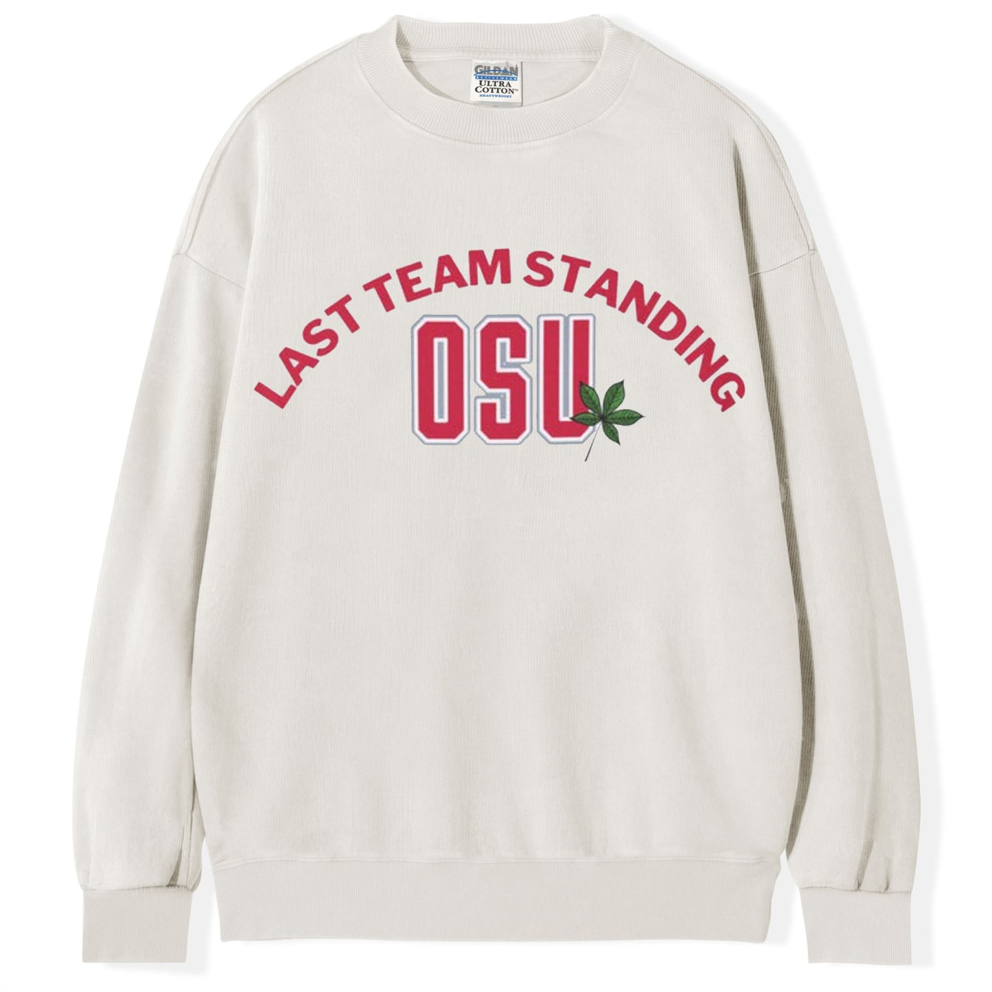 Ohio State Football Champions T-shirt/Sweatshirt