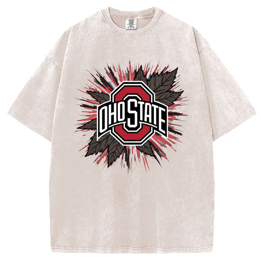 Ohio State University T-shirt/Sweatshirt