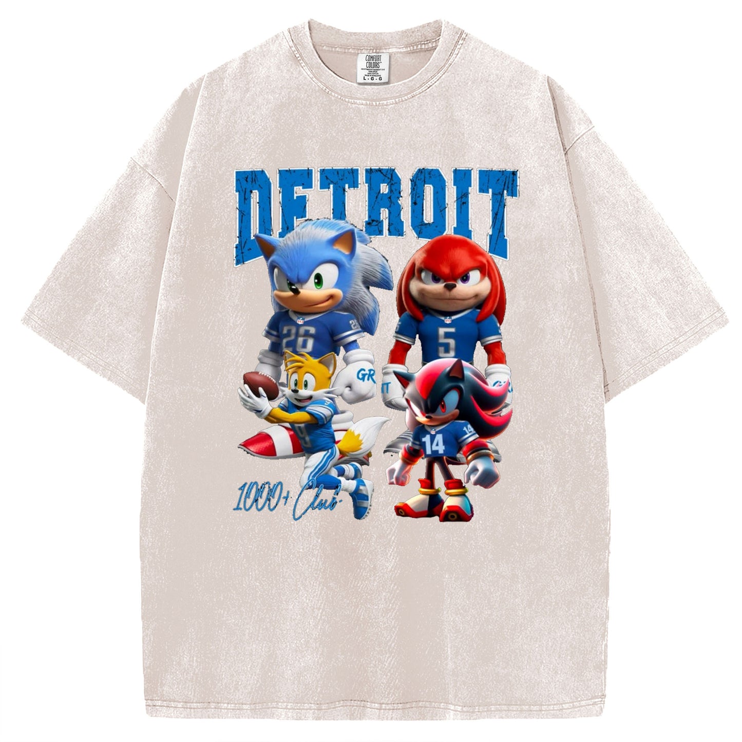 Detroit Football Fan T-Shirt/Sweatshirt
