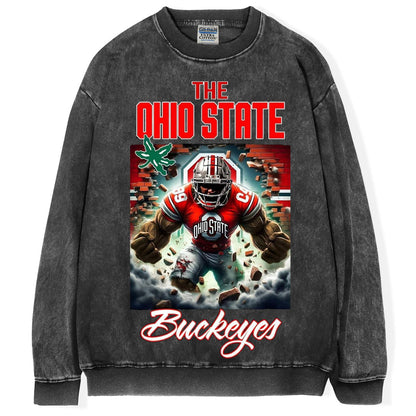 Ohio State Buckeyes T-Shirt/Sweatshirt