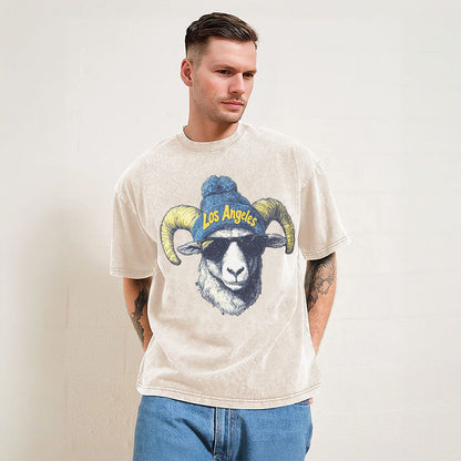 Los Angeles Football Sweatshirt, Vintage Fan Gift, Game Day T-Shirt