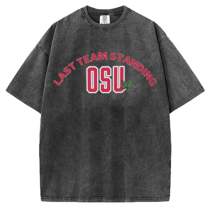 Ohio State Football Champions T-shirt/Sweatshirt