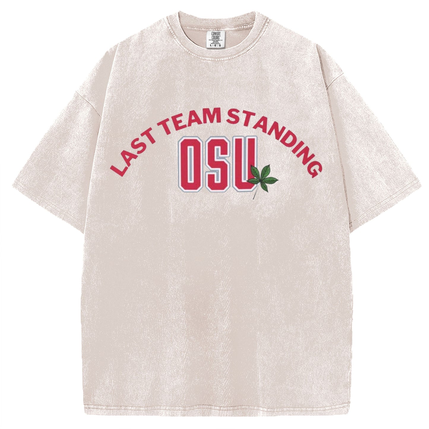 Ohio State Football Champions T-shirt/Sweatshirt