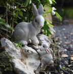 2Pcs Rabbit Garden Statue Animal Figurines