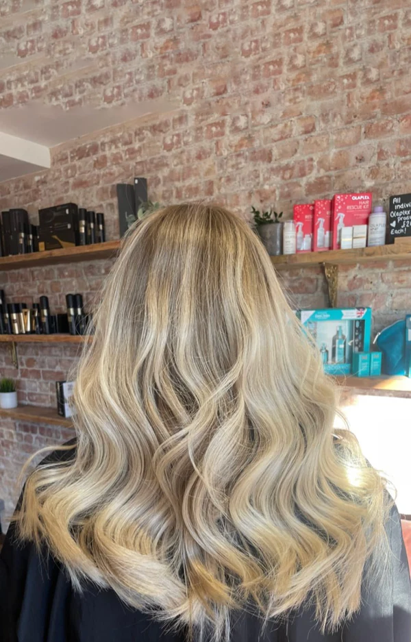 Georgina HD Lace Wig – 100% Human Hair Wig, Natural Hairline