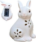 Solar Powered Light-Up Rabbit Figurine