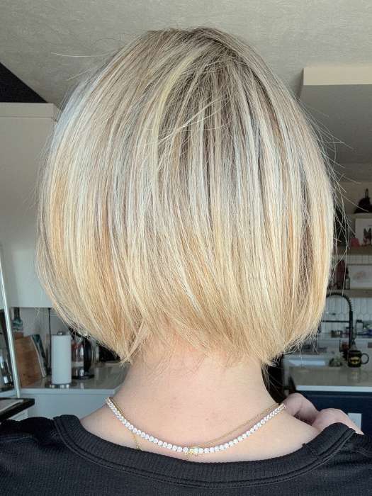 Straight Up With a Twist | HF Synthetic Lace Front Wig (Mono Top)